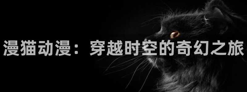 汗汗漫画高分榜：漫猫动漫：穿越时空的奇幻之旅配图