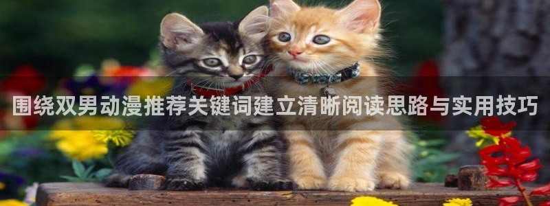汗汗漫画每日更新:围绕双男动漫推荐关键词建立清晰阅读思路与实用技巧配图
