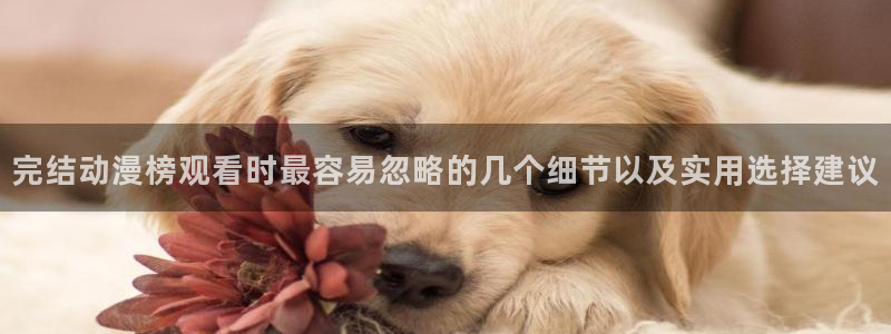 汗汗漫画免费目录:完结动漫榜观看时最容易忽略的几个细节以及实用选择建议配图
